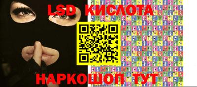 прущие крисы Гатчина