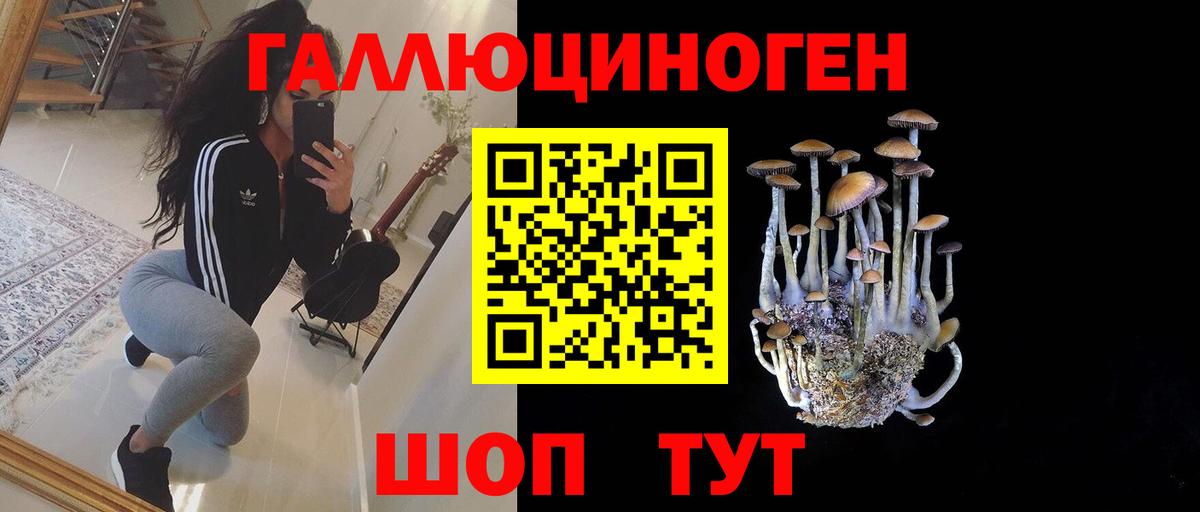 Галлюциногенные грибы Psilocybine cubensis  Вход с VPN  Муром 